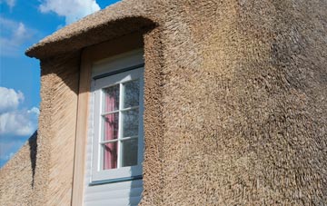 Smithley thatch roof disadvantages
